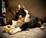 Small #14 Breeder Profile image