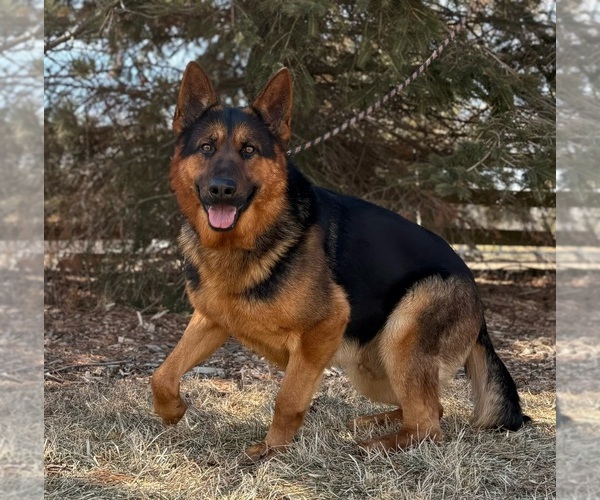 Medium Photo #8  Breeder Profile in DE PERE, WI, USA