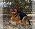 Small #7 Breeder Profile image