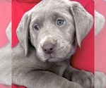 Small #15 Breeder Profile image