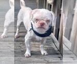 Small Photo #4  Breeder Profile in FANNING SPGS, FL, USA