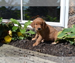Small #9 Breeder Profile image