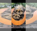 Small #7 Breeder Profile image