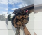 Small #12 Breeder Profile image