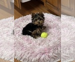 Small #23 Breeder Profile image