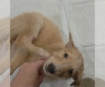 Small #7 Breeder Profile image