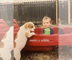Small #5 Breeder Profile image