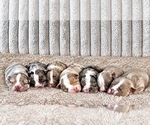 Small #3 Breeder Profile image