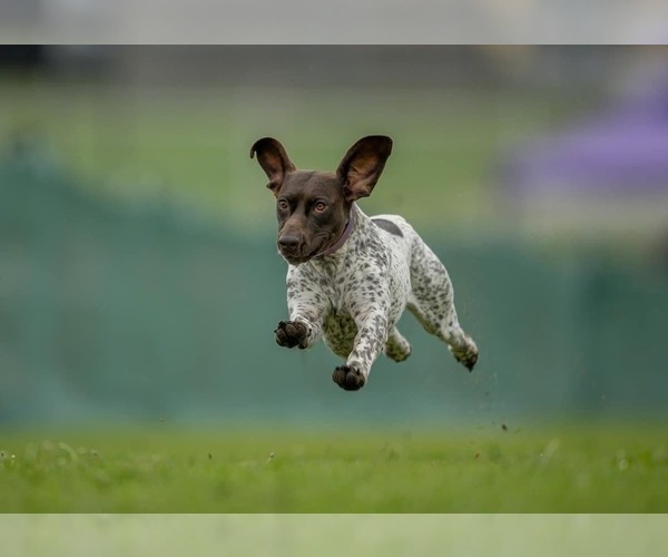 Medium Photo #6  Breeder Profile in LEXINGTON, SC, USA