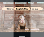 Small #13 Breeder Profile image