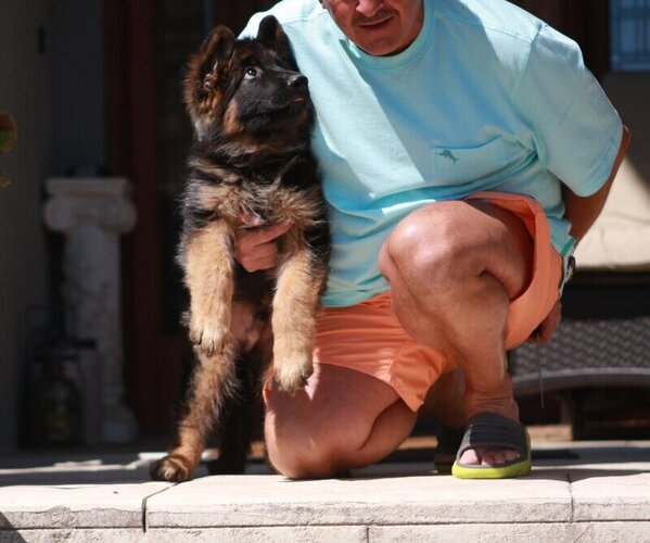 Medium Photo #9  Breeder Profile in AURORA, CO, USA