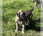Small #5 Breeder Profile image