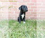 Small #5 Breeder Profile image