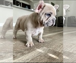 Small breeder photo