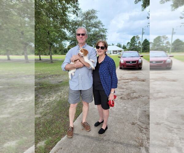 Medium Photo #163  Breeder Profile in HORTENSE, GA, USA