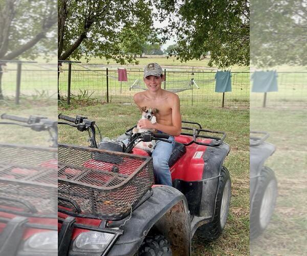 Medium Photo #12  Breeder Profile in ENID, OK, USA