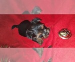 Small #357 Breeder Profile image