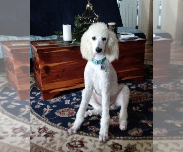 Medium Photo #1  Breeder Profile in MISSOURI VALLEY, IA, USA