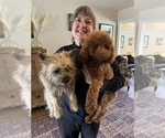 Small #27 Breeder Profile image
