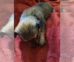 Small #125 Breeder Profile image