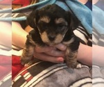 Small #36 Breeder Profile image