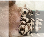 Small #7 Breeder Profile image
