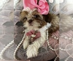 Small #1 Breeder Profile image