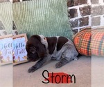 Small #6 Breeder Profile image