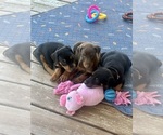 Small #6 Breeder Profile image