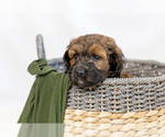 Small #23 Breeder Profile image