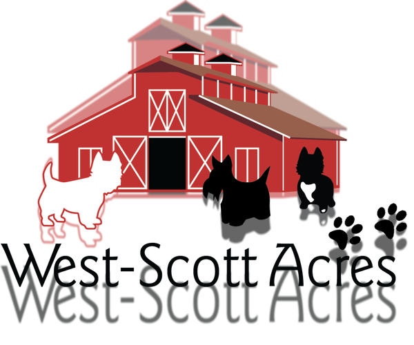 Medium Photo #1  Breeder Profile in YORKTOWN, IN, USA