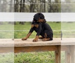Small #10 Breeder Profile image