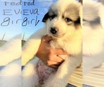 Small #14 Breeder Profile image