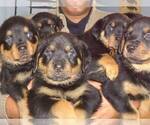 Small #3 Breeder Profile image