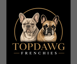 Medium Breeder Profile Photo