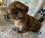 Small #3 Breeder Profile image