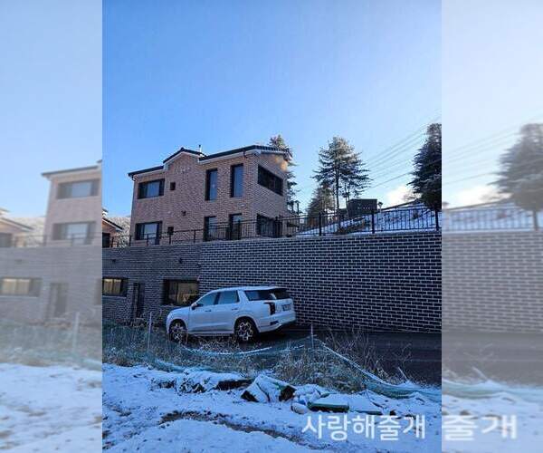 Medium Photo #7  Breeder Profile in Uijeongbu-si, Gyeonggi-do, Korea, South