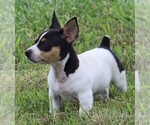 Small #14 Breeder Profile image