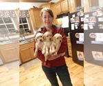 Small breeder photo