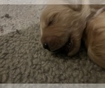 Small #5 Breeder Profile image