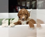 Small #3 Breeder Profile image