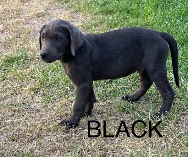 Medium Photo #6  Breeder Profile in HAGERMAN, ID, USA