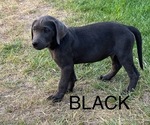 Small #5 Breeder Profile image