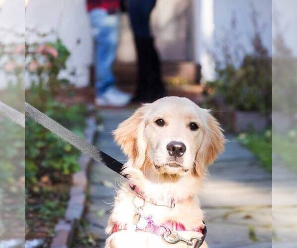 Medium Photo #11  Breeder Profile in STELLA, NC, USA