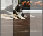 Small #50 Breeder Profile image