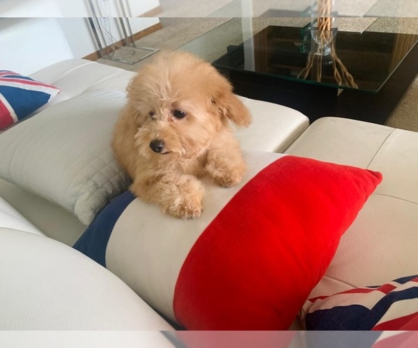 Medium Photo #1  Breeder Profile in VICTORVILLE, CA, USA