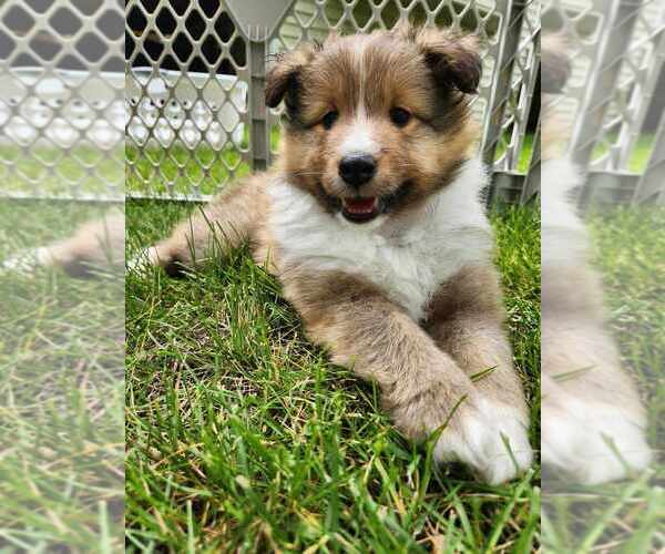 Medium Photo #1  Breeder Profile in BELLEVILLE, WI, USA