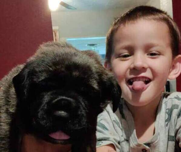 Medium Photo #1  Breeder Profile in ALVIN, TX, USA