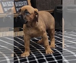 Small #4 Breeder Profile image