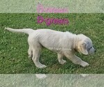 Small #10 Breeder Profile image